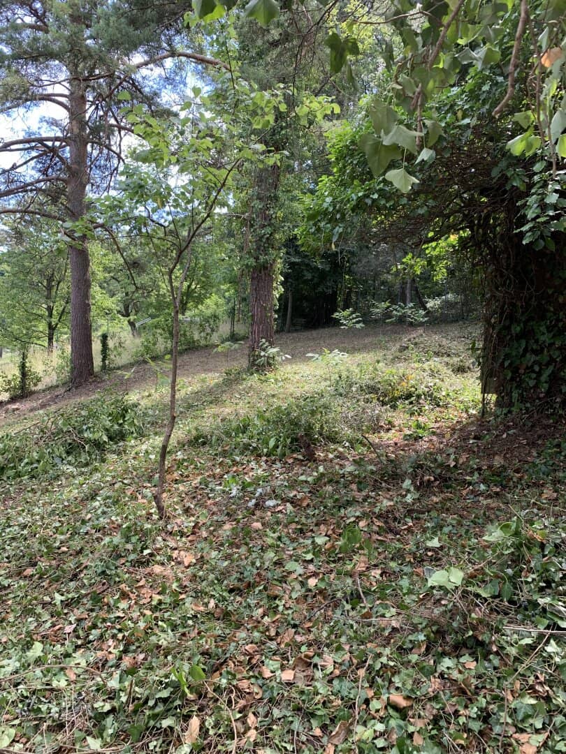 Großzügiges 1115m² Grundstück mit Garten in 2123 Kronberg, Niederösterreich!