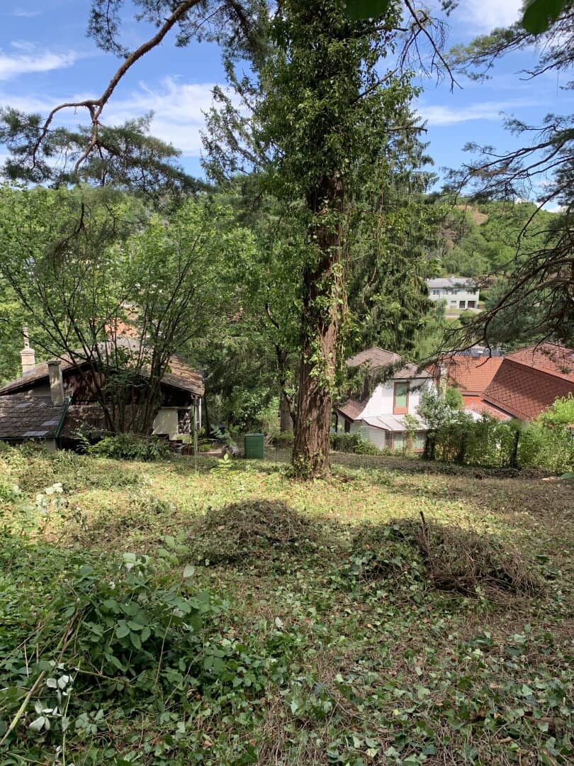 Großzügiges 1115m² Grundstück mit Garten in 2123 Kronberg, Niederösterreich!