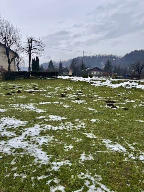 Sonniges Baugrundstück in Sittersdorf