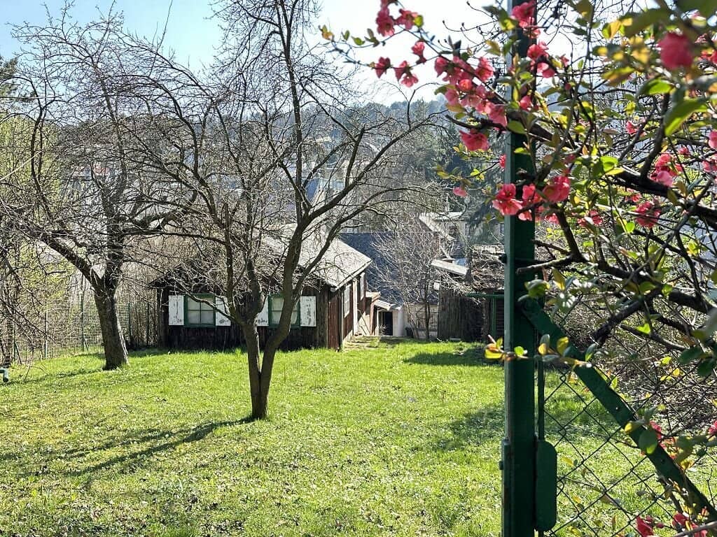 CHARMANTES GRUNDSTÜCK MIT ALTBESTAND AM FUSSE DER WEINBERGE