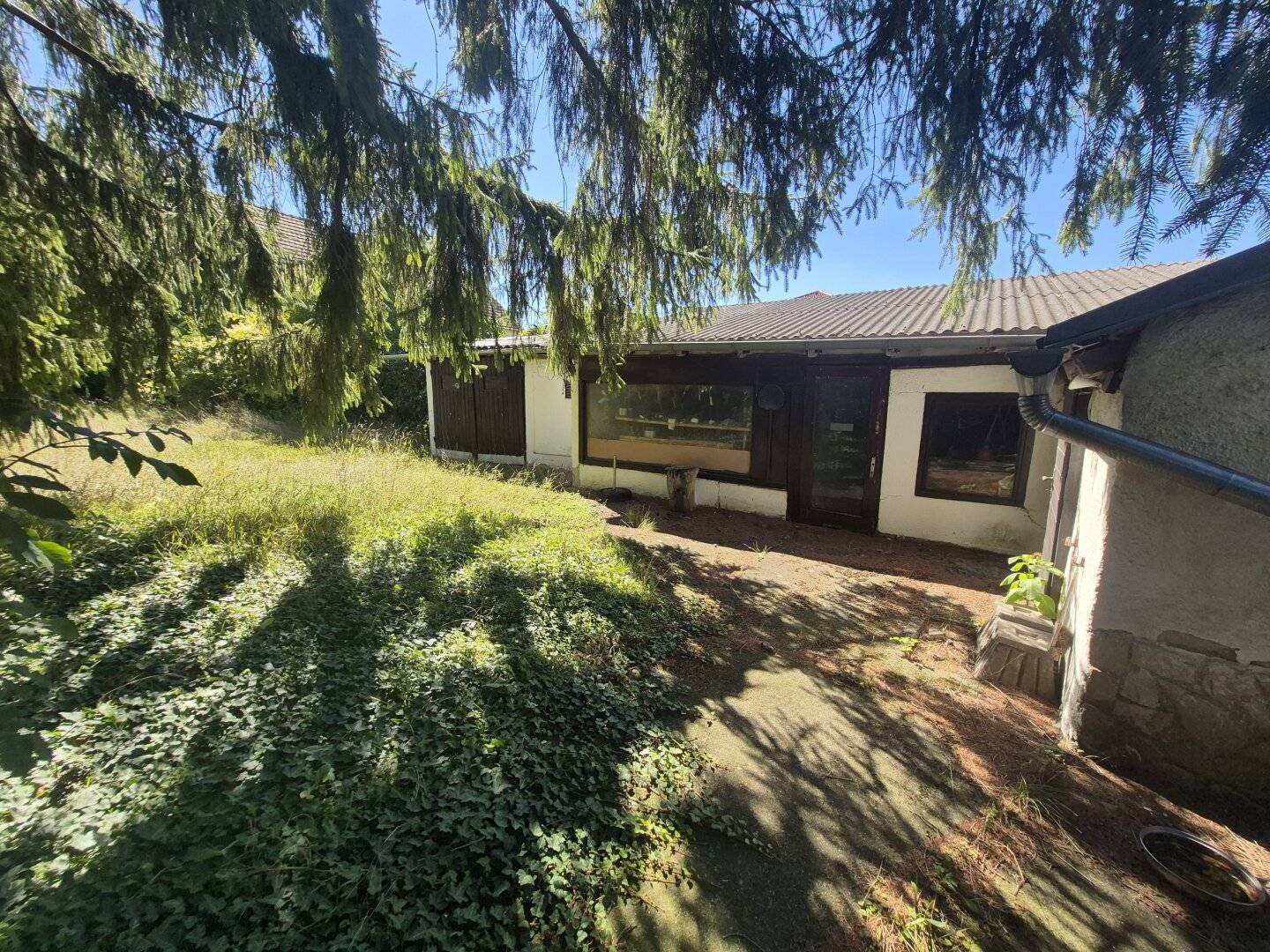 Traumgrundstück 2530 m²- Haus mit Waldrandlage &amp; Vermietungsoption – 300 m² Fläche in Ladendorf!"