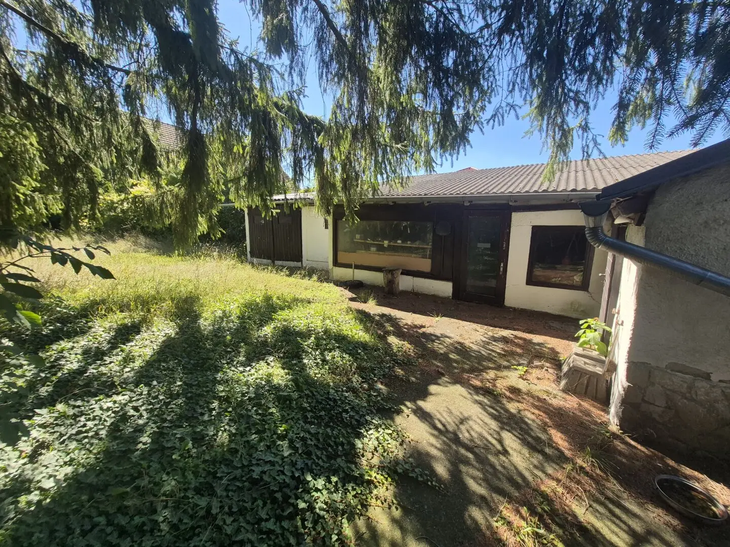 Traumgrundstück 2530 m²- Haus mit Waldrandlage & Vermietungsoption – 300 m² Fläche in Ladendorf!"