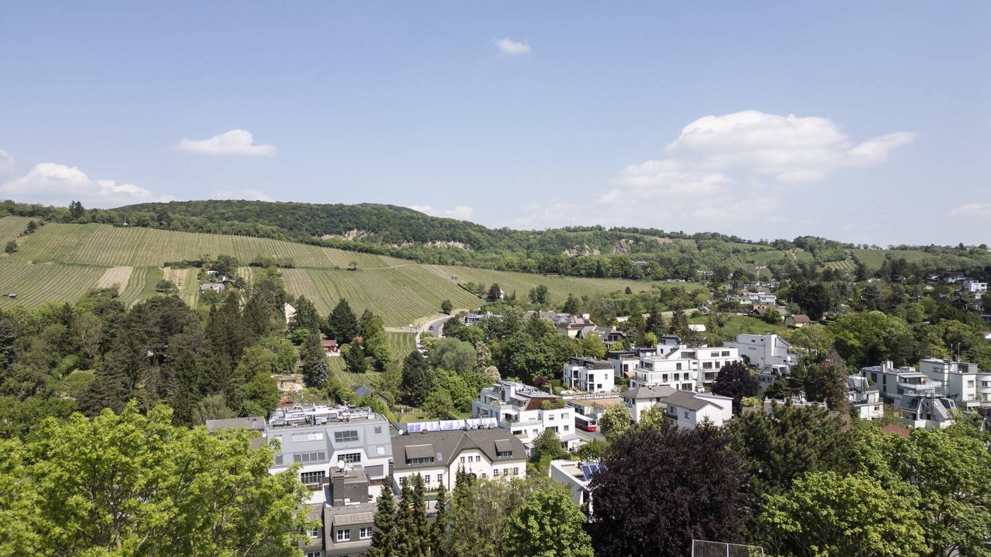 Immobilienbild 3