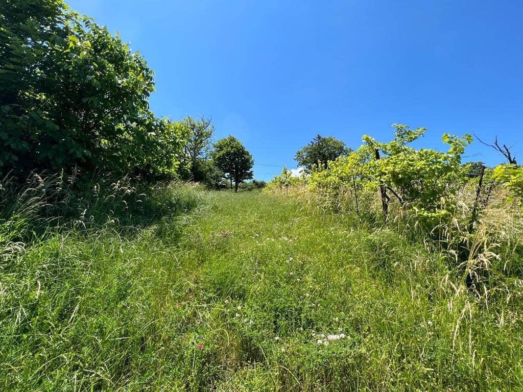 +++Traumhaftes Grundstück mit Garten und Fernblick in 1190 Wien - nur 560.000,00 €++