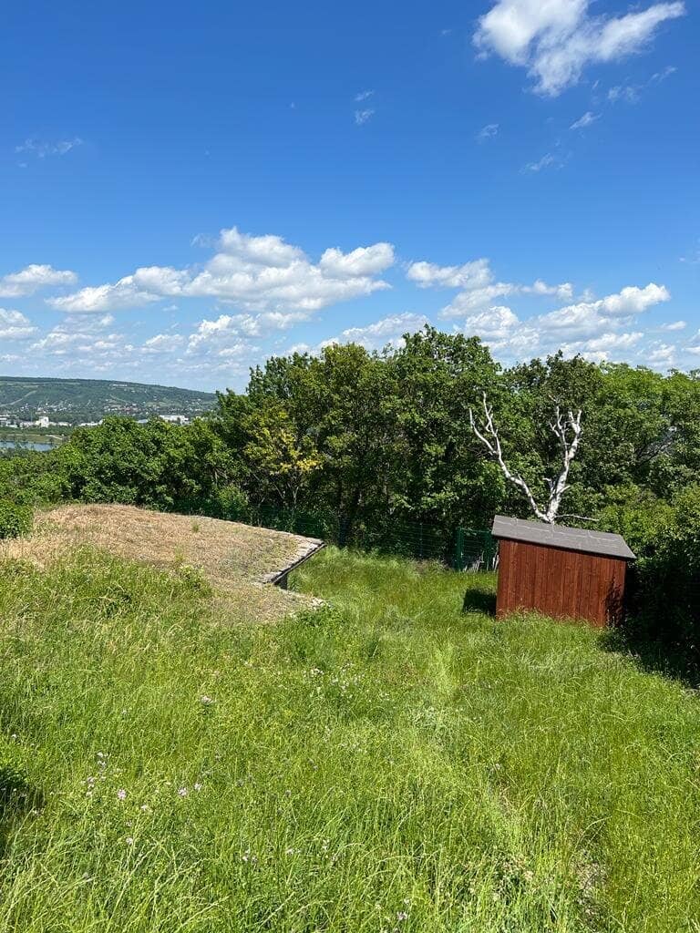 +++Traumhaftes Grundstück mit Garten und Fernblick in 1190 Wien - nur 560.000,00 €++