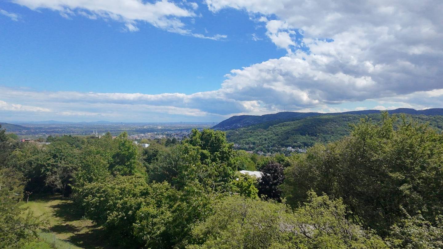 Über den Wolken - traumhafter Baugrund mit umfangreicher Vorstudie zur Bebauung am Ölberg mit unverbaubarer Aussicht in absoluter Ruhelage