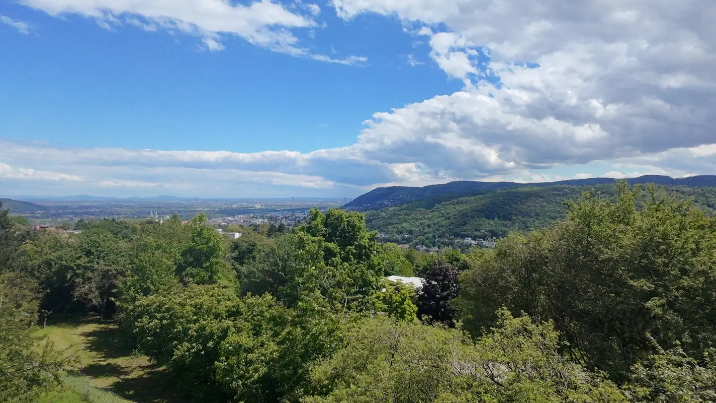 Über den Wolken - traumhafter Baugrund mit umfangreicher Vorstudie zur Bebauung am Ölberg mit unverbaubarer Aussicht in absoluter Ruhelage