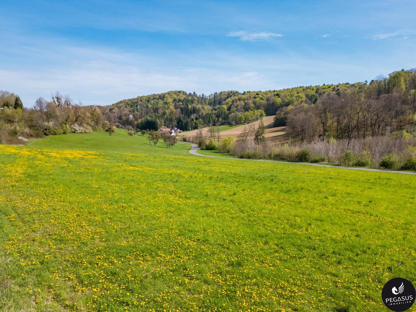Schlosscamping Kornberg – Mach es zu deinem Projekt