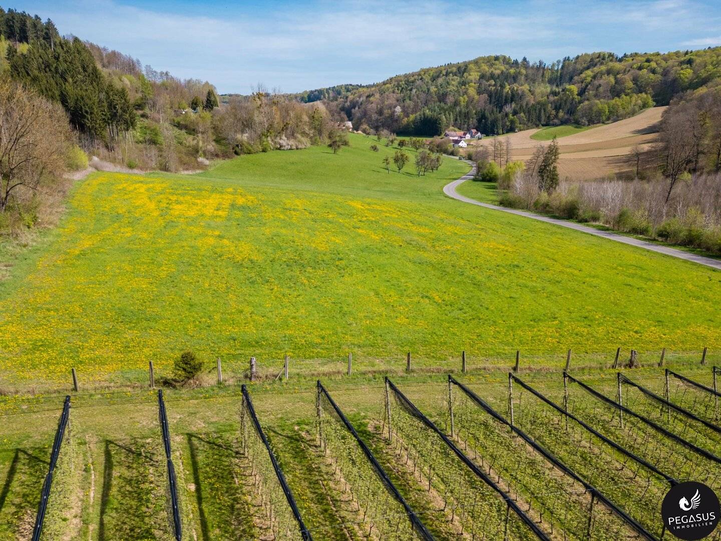 Schlosscamping Kornberg – Mach es zu deinem Projekt