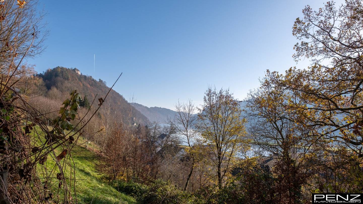 UNTERMÜHL: Schönes Apartment - Balkon und Garten in idyllischer Lage mit zauberhaftem Donaublick