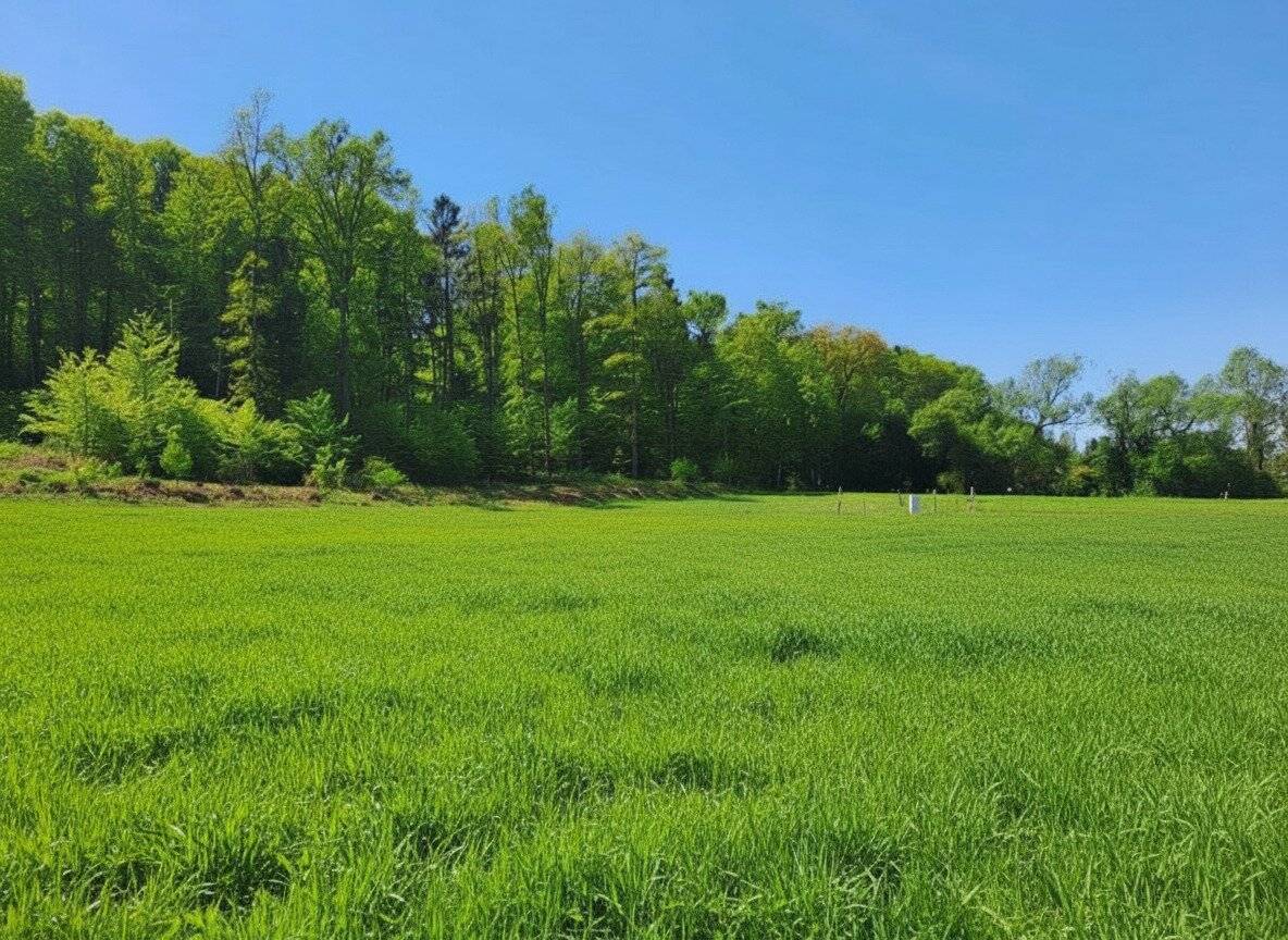 Vulkan & Thermenregion - Baugründe, sonnige Stadtrandlage  971m² bis 1000m² Dichte 0,2-0,4