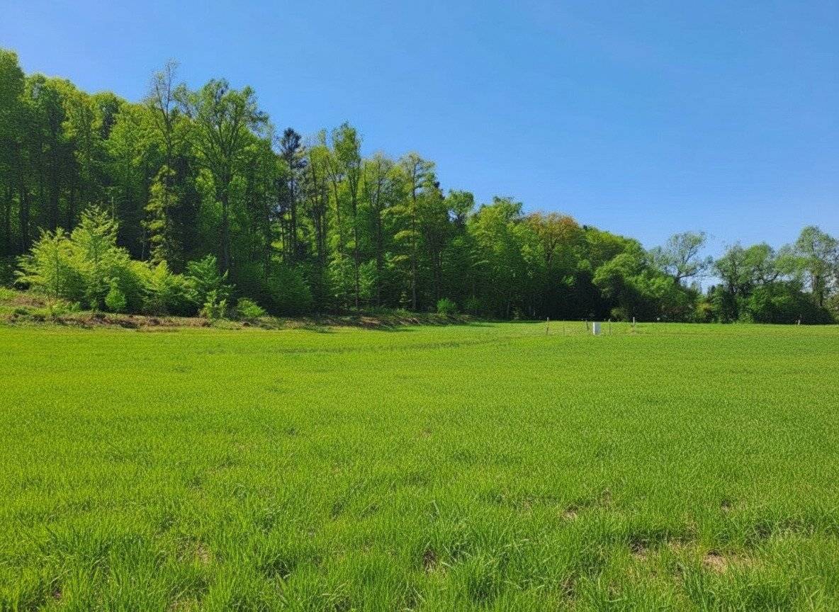 Vulkan & Thermenregion - Baugründe, sonnige Stadtrandlage  971m² bis 1000m² Dichte 0,2-0,4