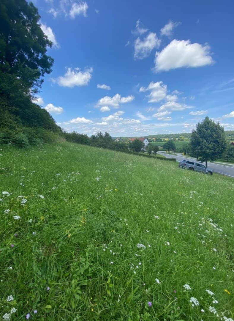 LOIPERSDORF! Großes Grundstück an der Thermenstraße zu verkaufen!