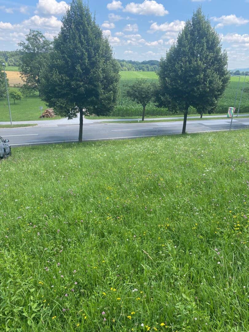 LOIPERSDORF! Großes Grundstück an der Thermenstraße zu verkaufen!