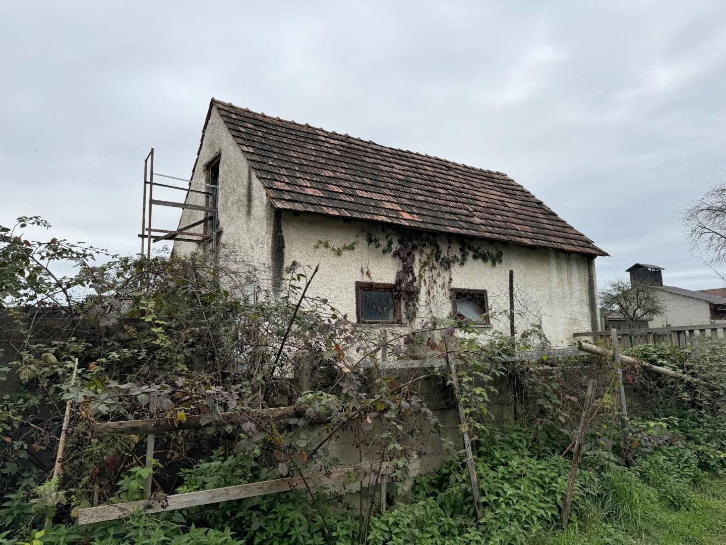 Einfamilienhaus mit großem Grundstück – auch für Landwirtschaft & Anleger interessant, Pferdehaltung