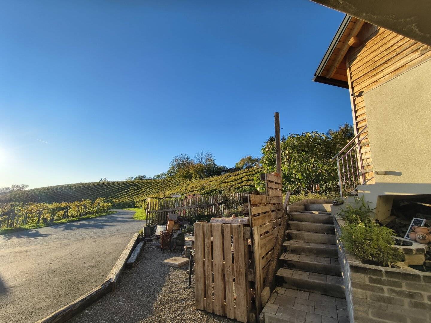 Steirische Toskana! Wo Weinberge den Horizont berühren und jeder Tag wie Urlaub beginnt
