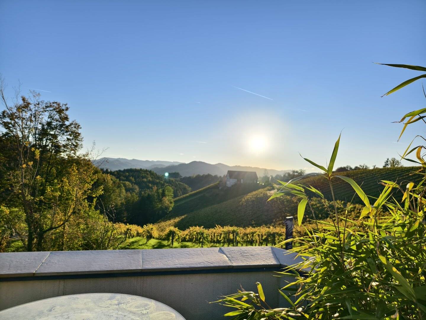 Steirische Toskana! Wo Weinberge den Horizont berühren und jeder Tag wie Urlaub beginnt
