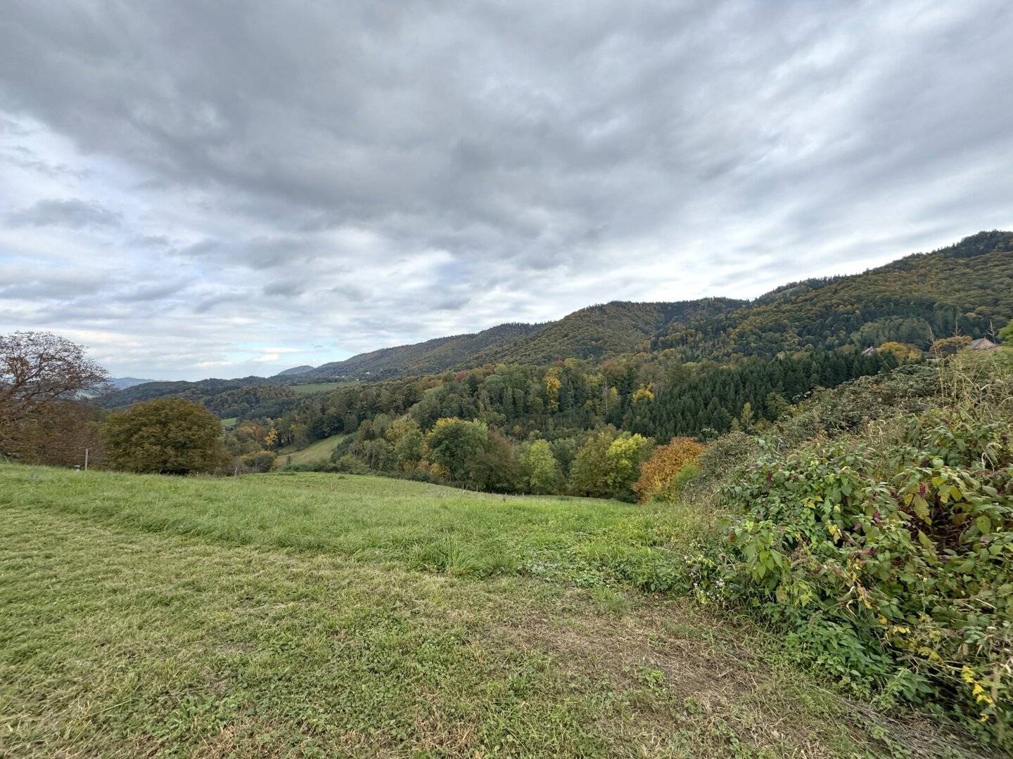 Ruhige Toplage mit sensationellem Panoramablick nahe Arnfels – Hardegg, ein Naturjuwel für Genießer, Familien & Investoren!