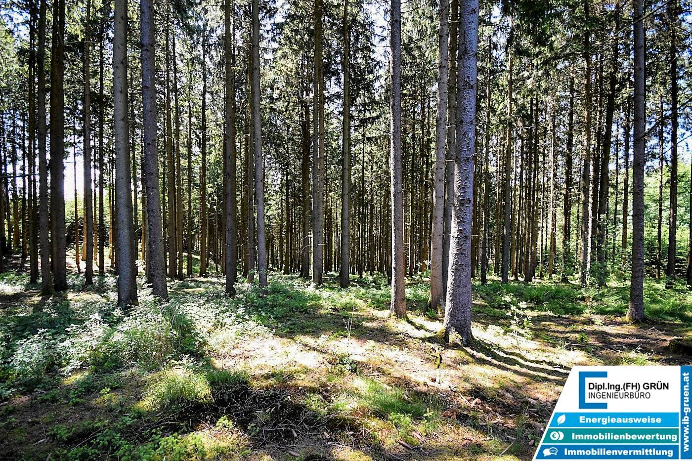 Bestens bewirtschafteter Wald (ca. 2,56 ha) mit Top-Zufahrt & Holzlagerplatz