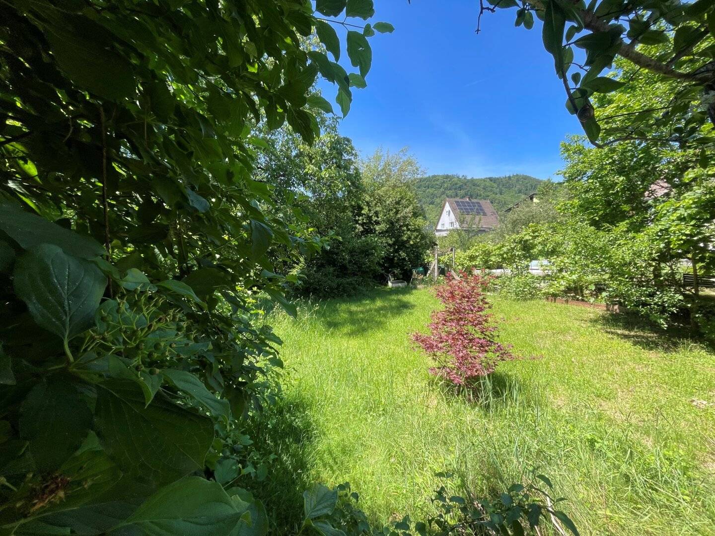 Thaddäus Stammelstrasse - sonniges, ebenmässiges Grundstück in absoluter Ruhelage 1.245 m² teilbar in 647 m² und 598 m²