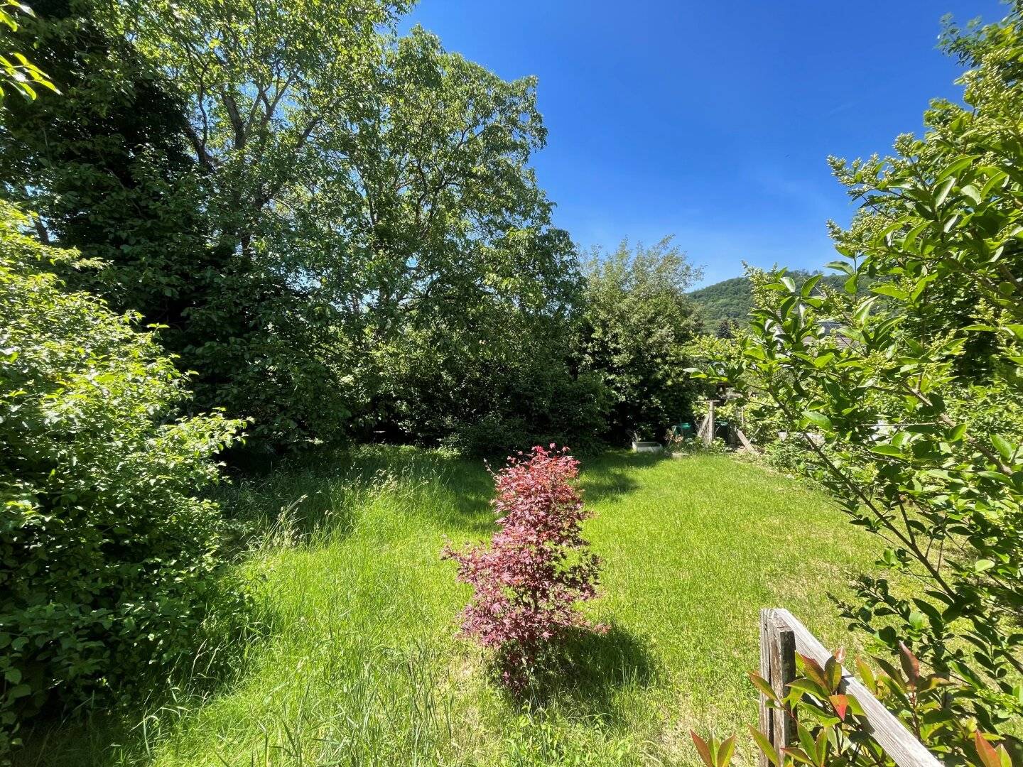 Thaddäus Stammelstrasse - sonniges, ebenmässiges Grundstück in absoluter Ruhelage 1.245 m² teilbar in 647 m² und 598 m²