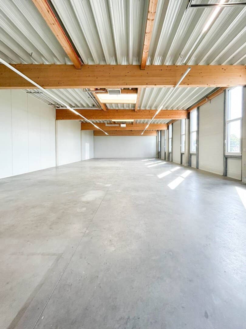 REPRÄSENTATIVE GEWERBEFLÄCHE I MODERN I LICHTDURCHFLUTET I 250,44 m² IN GRALLA