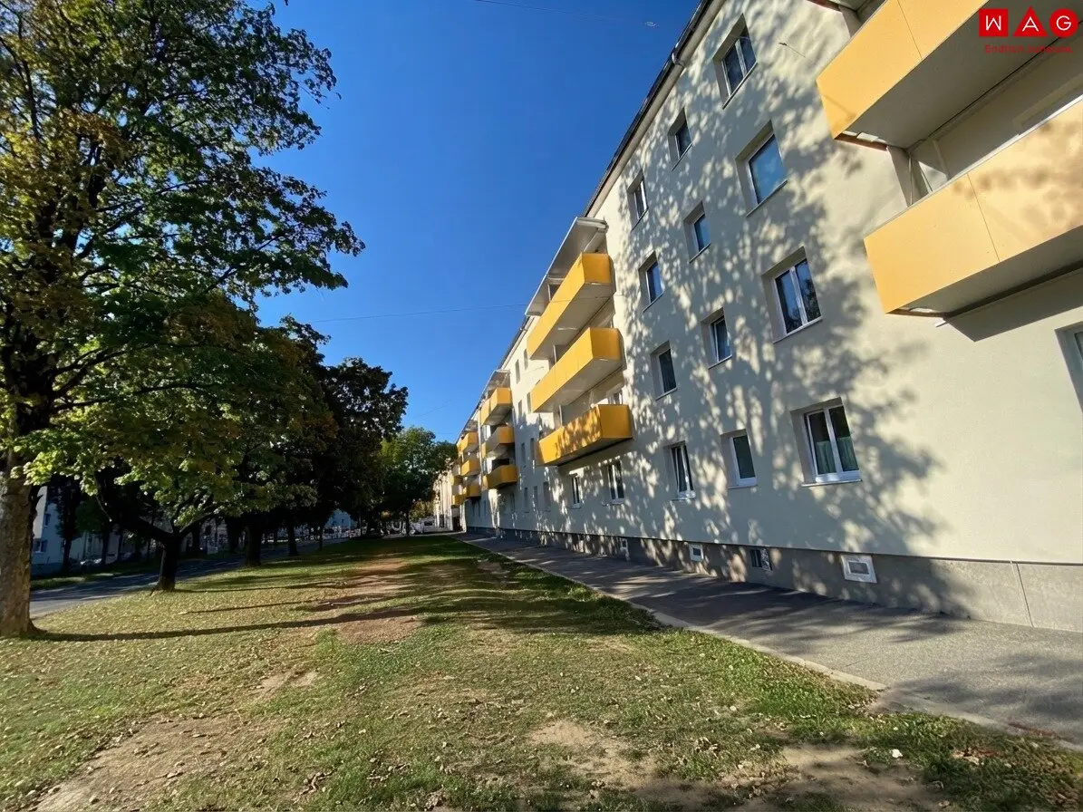 Leistbare Wohnung mit Gestaltungsbedarf in 4040 Urfahr