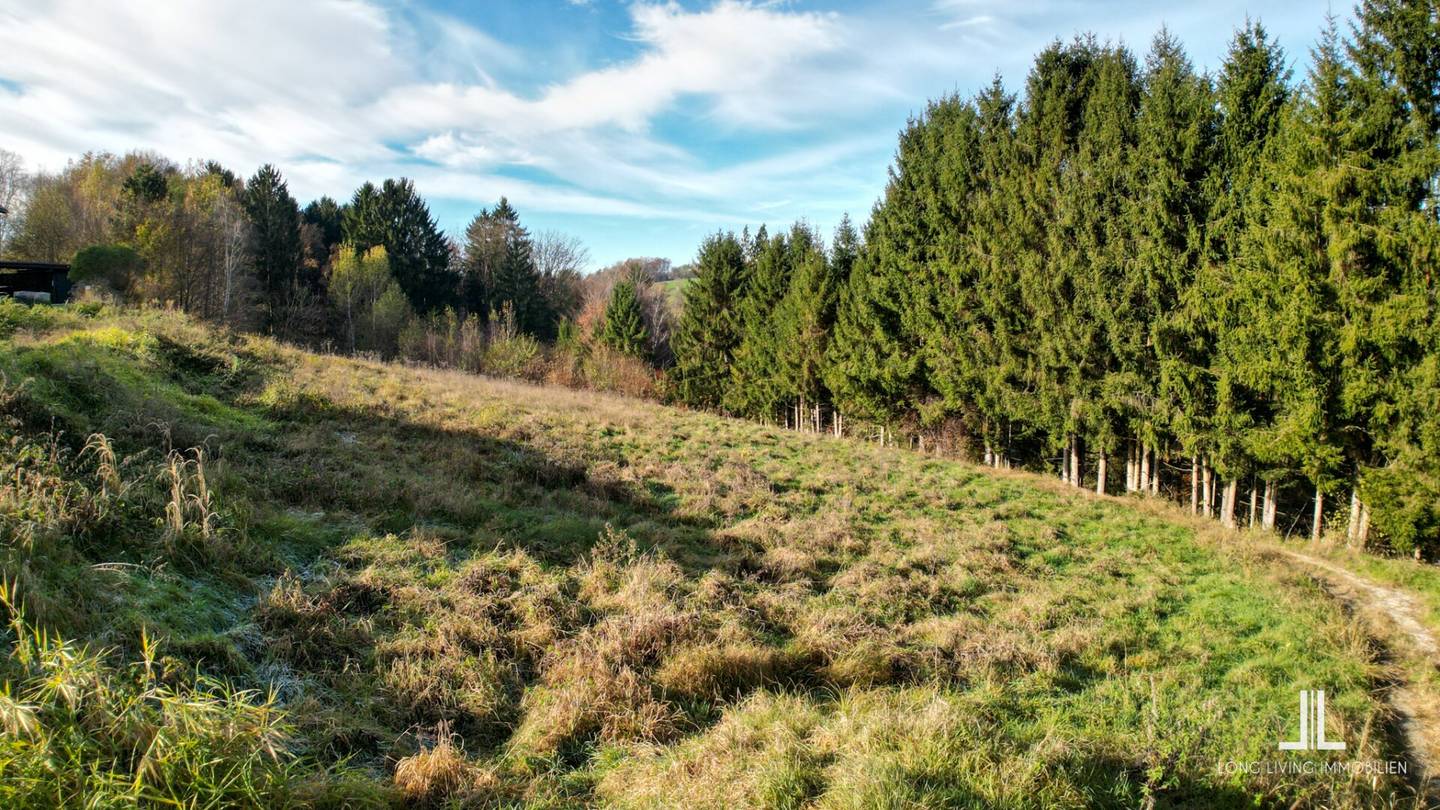 Top Preis-Leistung! Baugrund am Stadtrand zu verkaufen!