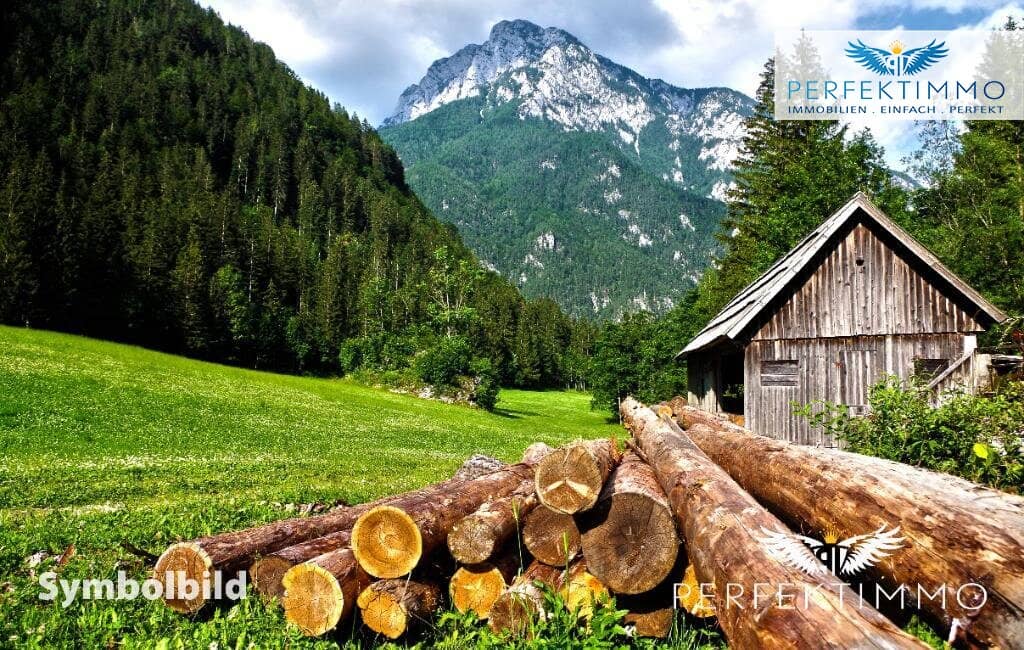 Wald- und Wiesengrundstücke in Arzl im Pitztal