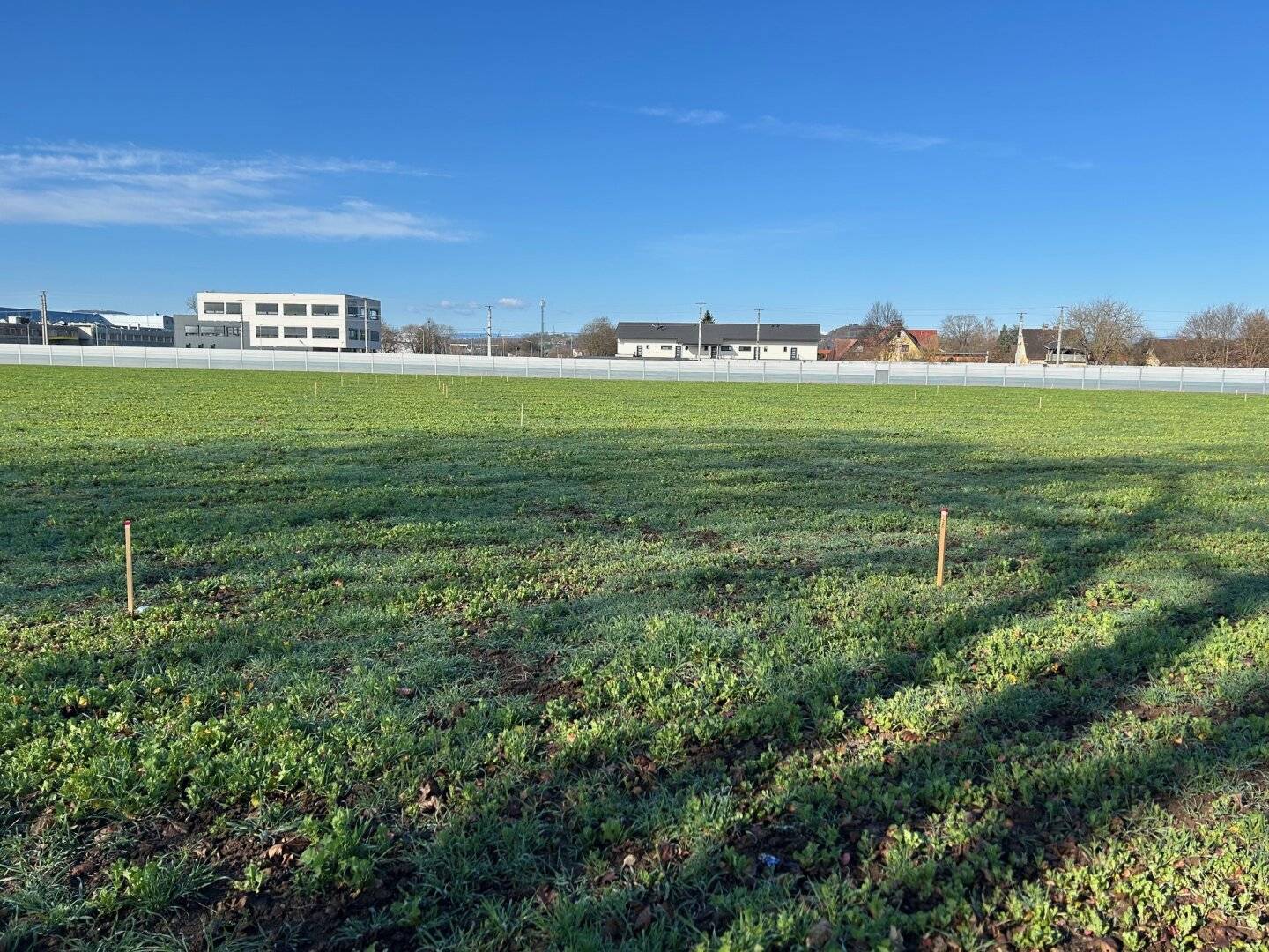 Immobilienbild 2