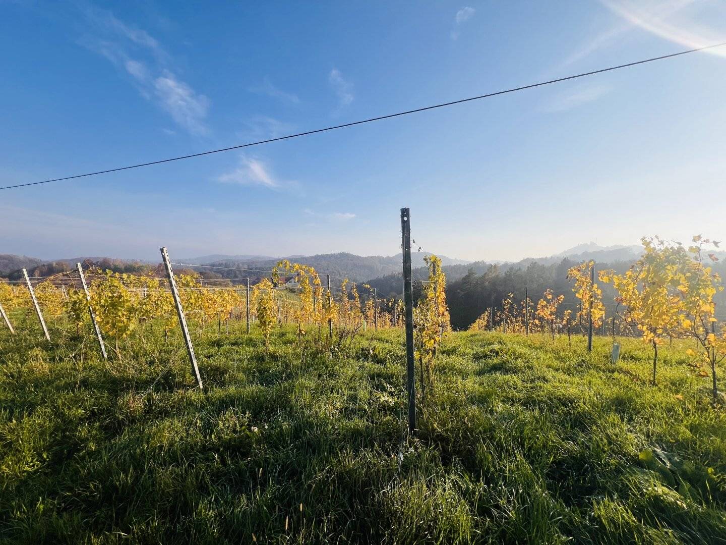 ZUM KAUF: Grundstück in der malerischen Südsteiermark!