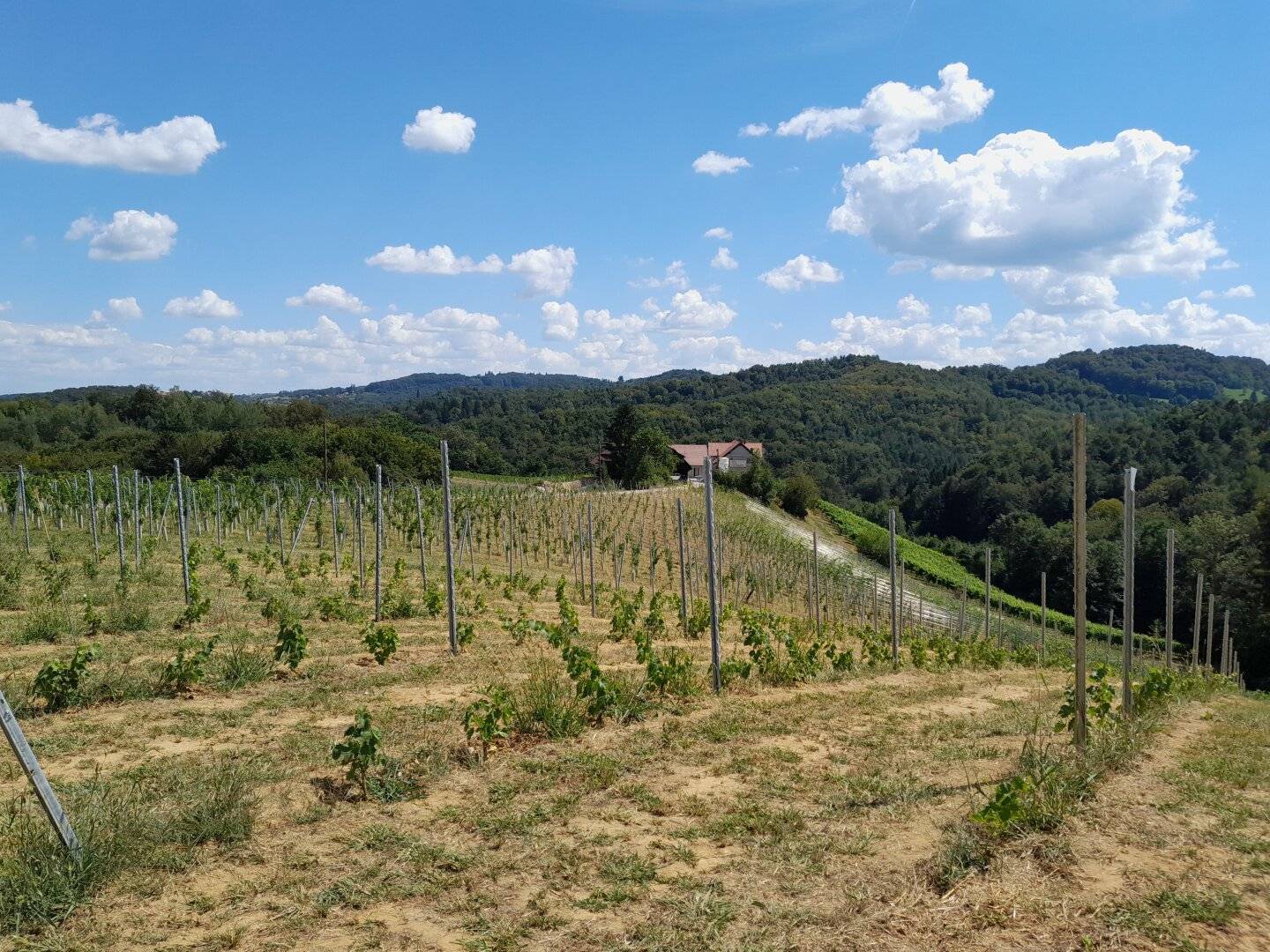 ZUM KAUF: Grundstück in der malerischen Südsteiermark!