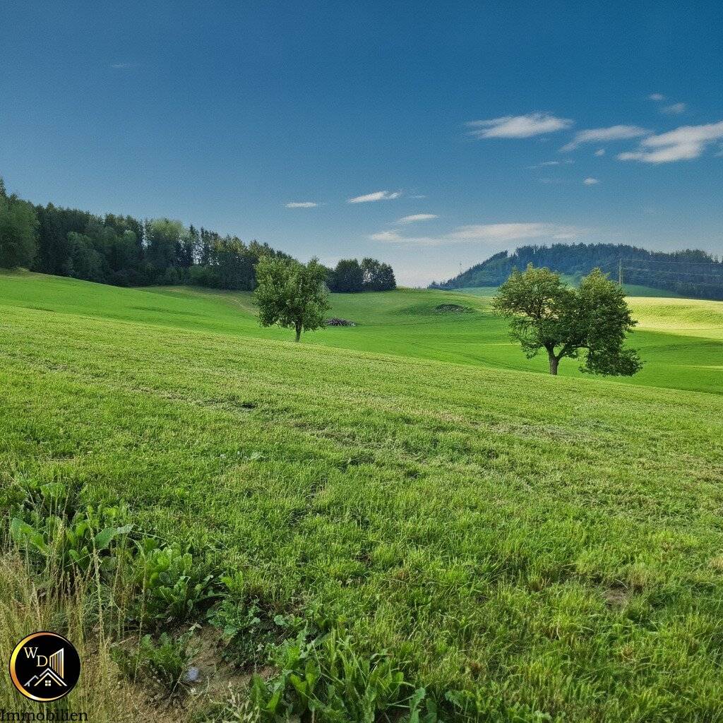 Ihr  Platz an der Sonne: Exponierte Aussichtslage eingebettet in traumhafter  idyllischer Wiesenlandschaft