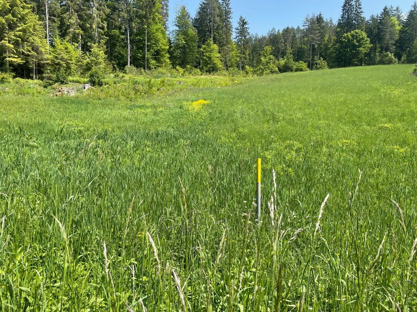 Ihr Platz in der Natur!