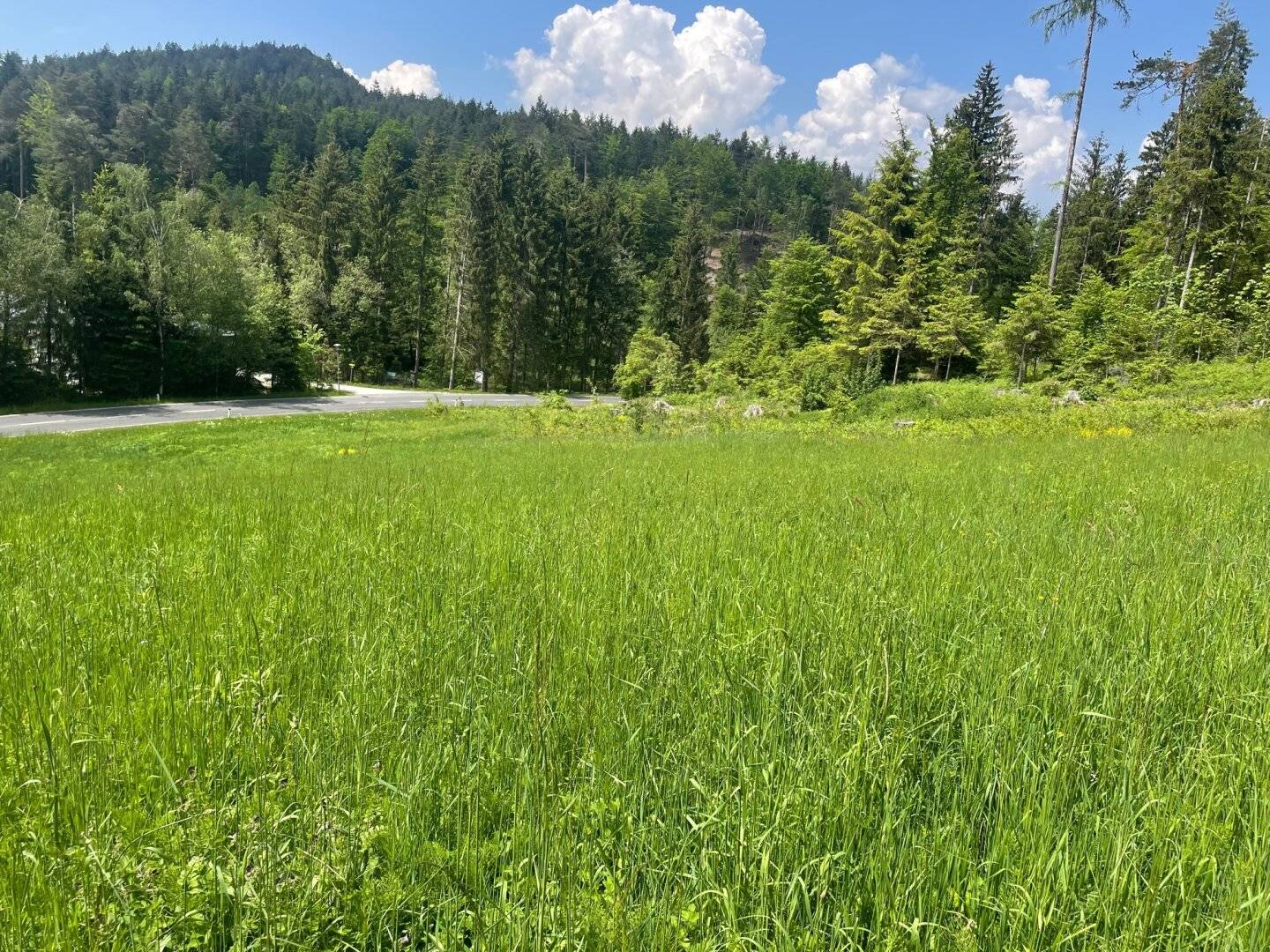 Ihr Platz in der Natur!