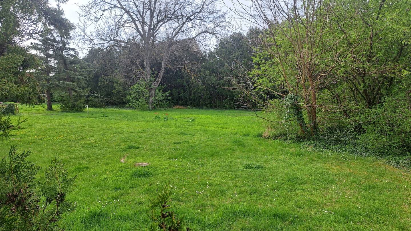 400m² in 1220 Wien GS 80m²,
