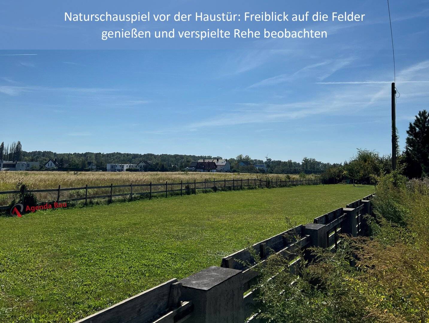 Immobilienbild 3