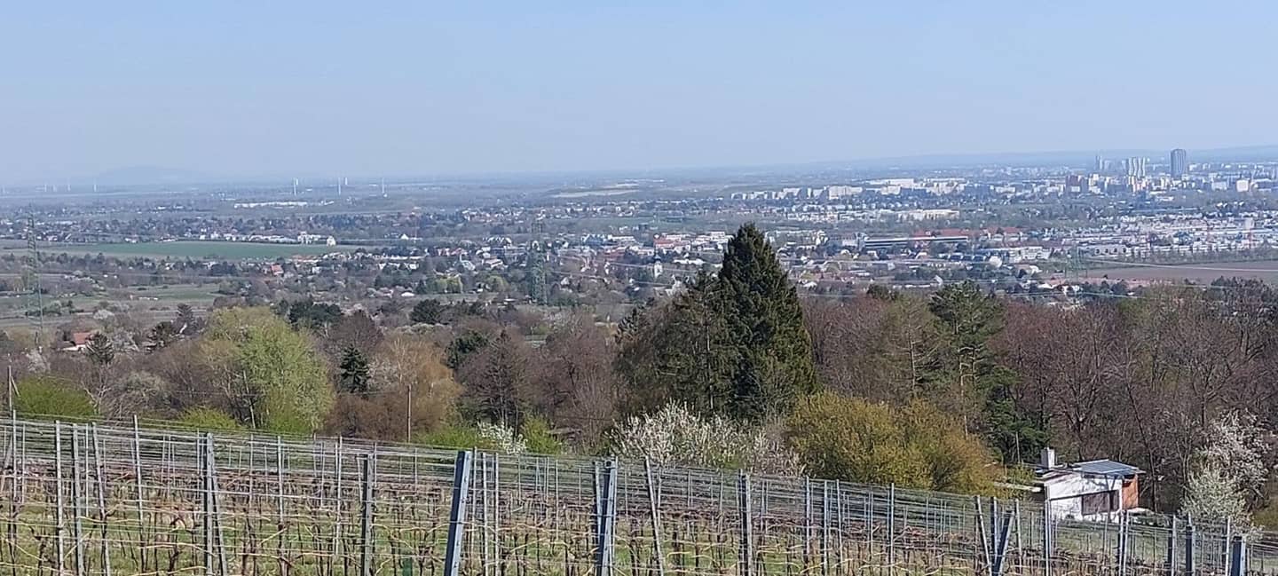 "Almhütte" in Stammersdorf  auf großem Grundstück. KEIN BAULAND