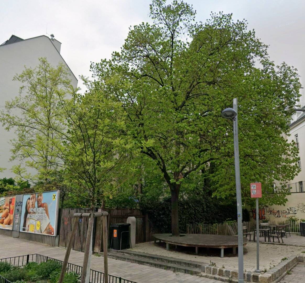 "Garten in 1040 Wien" - Seltene Gelegenheit einen Garten in der Innenstadt zu mieten