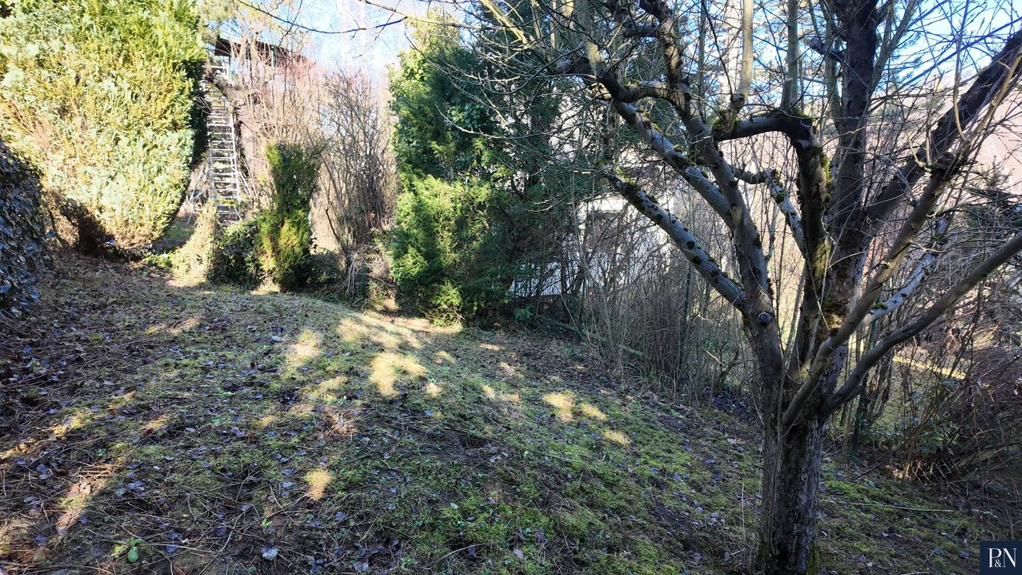 Wohnen am Wolfersberg-Baugrundstück mit Waldblick