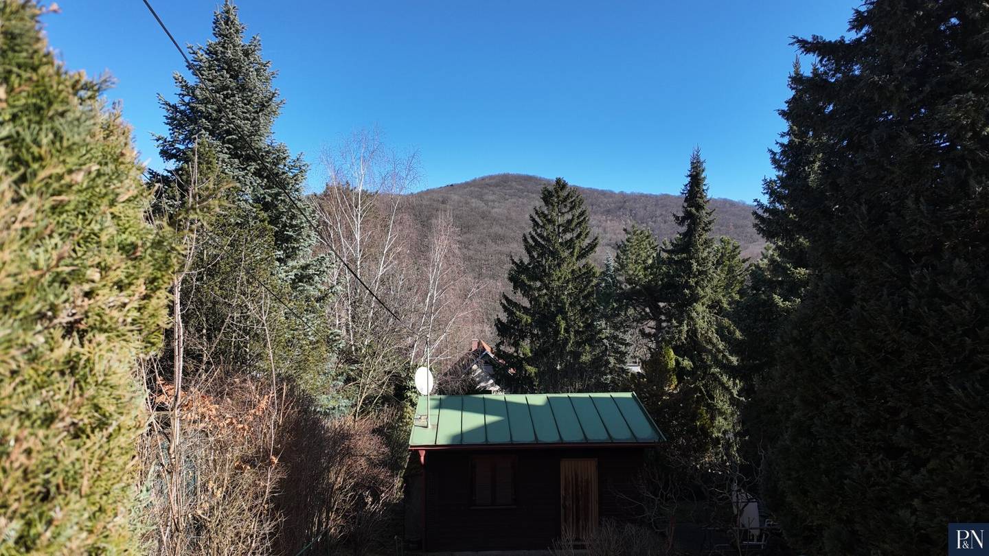 Wohnen am Wolfersberg-Baugrundstück mit Waldblick