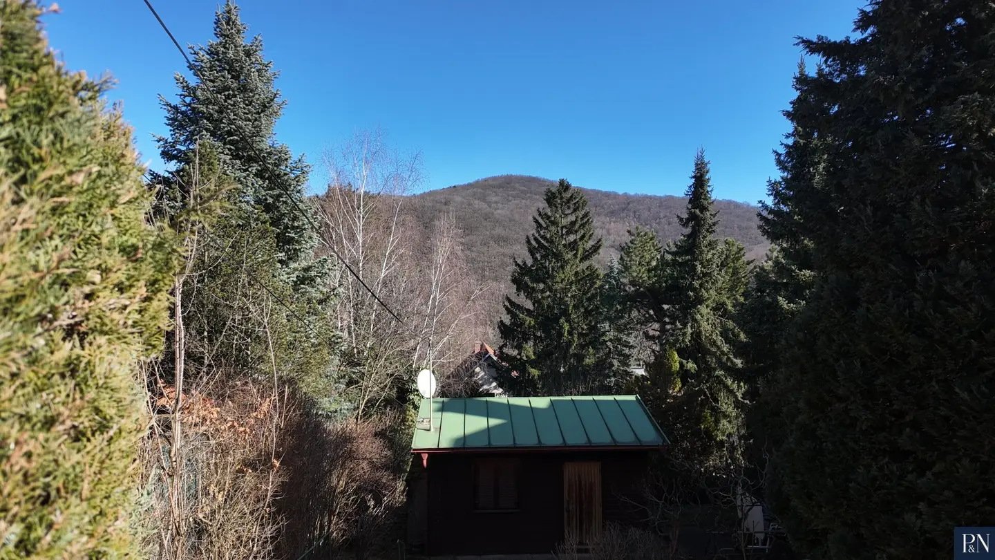 Baugrund in begehrter Lage am Wolfersberg – mit Waldblick