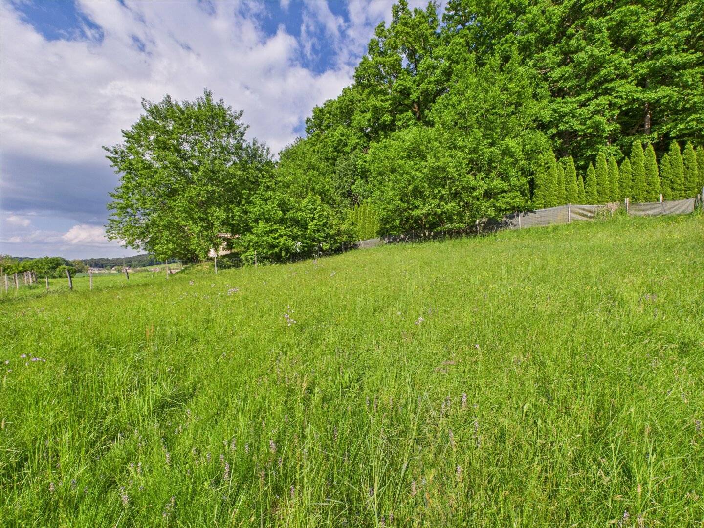 Oase der Ruhe mit Ausbaumöglichkeit – Grundstück für ein Leben im Einklang mit der Natur