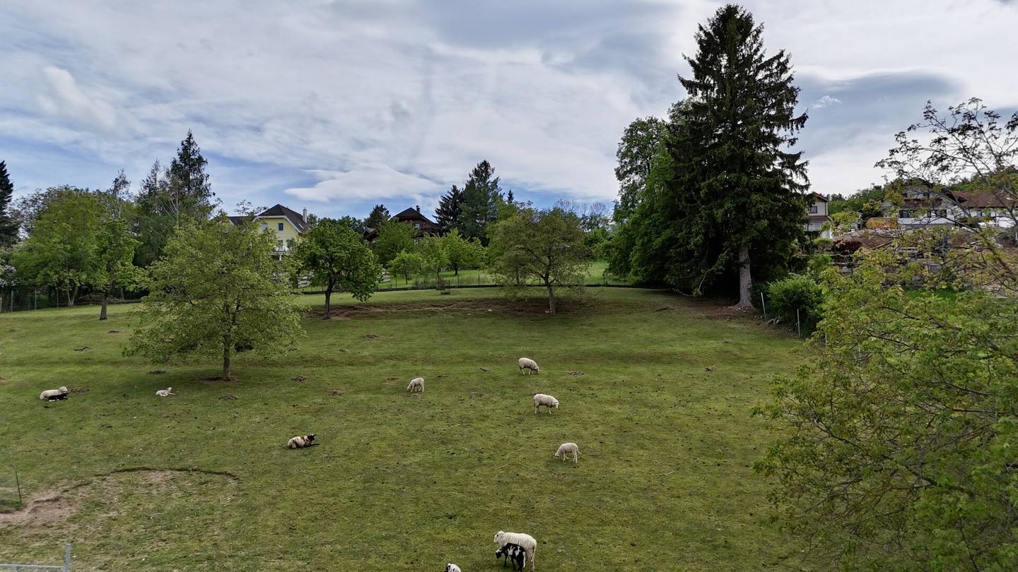 Ruhe, Natur & Weitblick – Exklusives Grundstück in begehrter Wohnlage