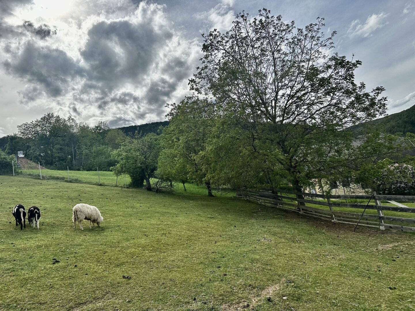 Ruhe, Natur & Weitblick – Exklusives Grundstück in begehrter Wohnlage