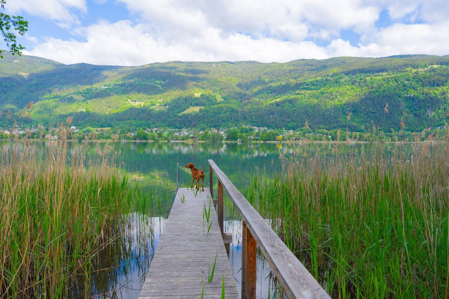 Die schönste Seeliegenschaft am OSSIACHERSEE