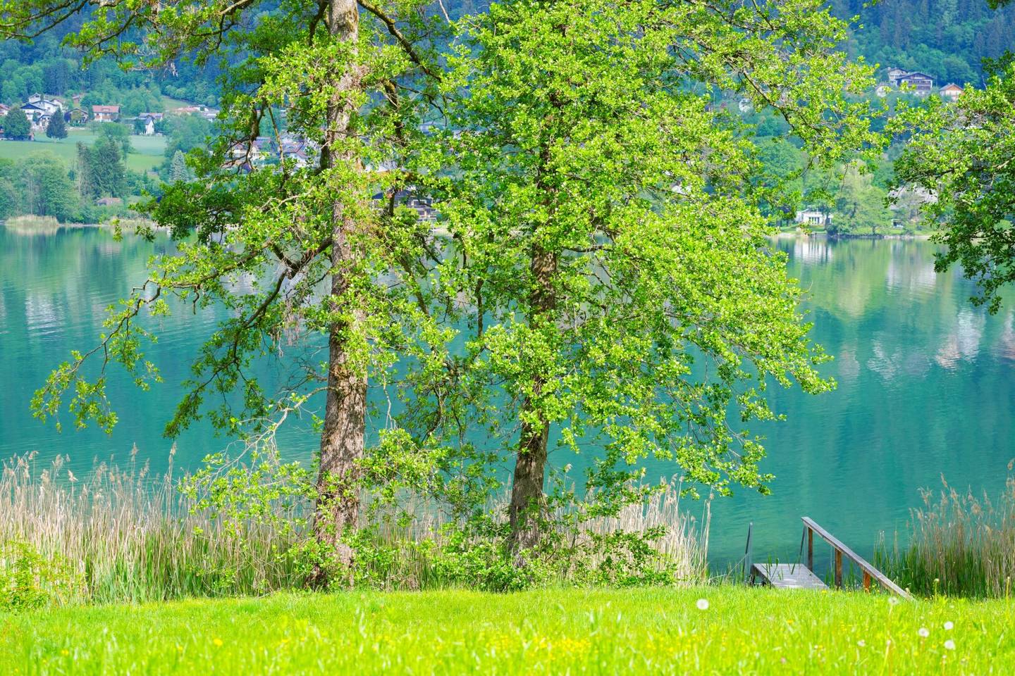 Gigantische SEELIEGENSCHAFT in absoluter Ruhelage am OSSIACHERSEE (Freizeitwohnsitz)