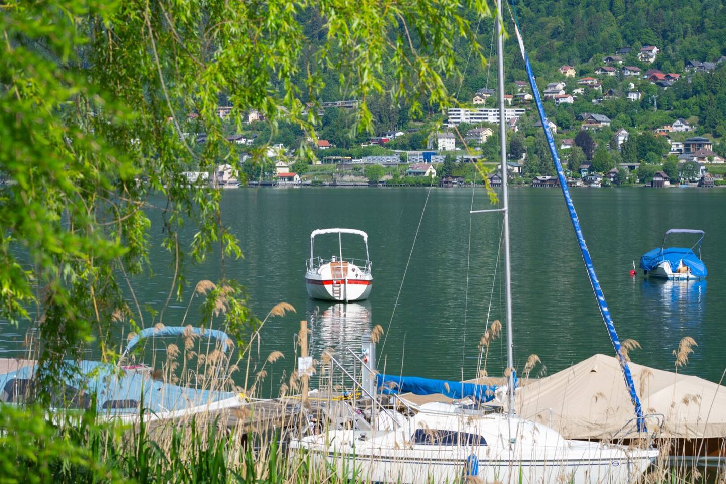 SEEGRUNDSTÜCK mit der perfekten Uferlänge und Grundtücksschnitt