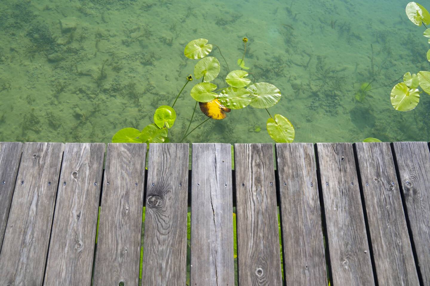 NEUBAUPROJEKT - VORMERKEN es geht bald los -  „KROPFITSCHBAD“ - Bootsplatz - Seeblick - gigantischer Strandbereich  - Pool - Fitness uvm