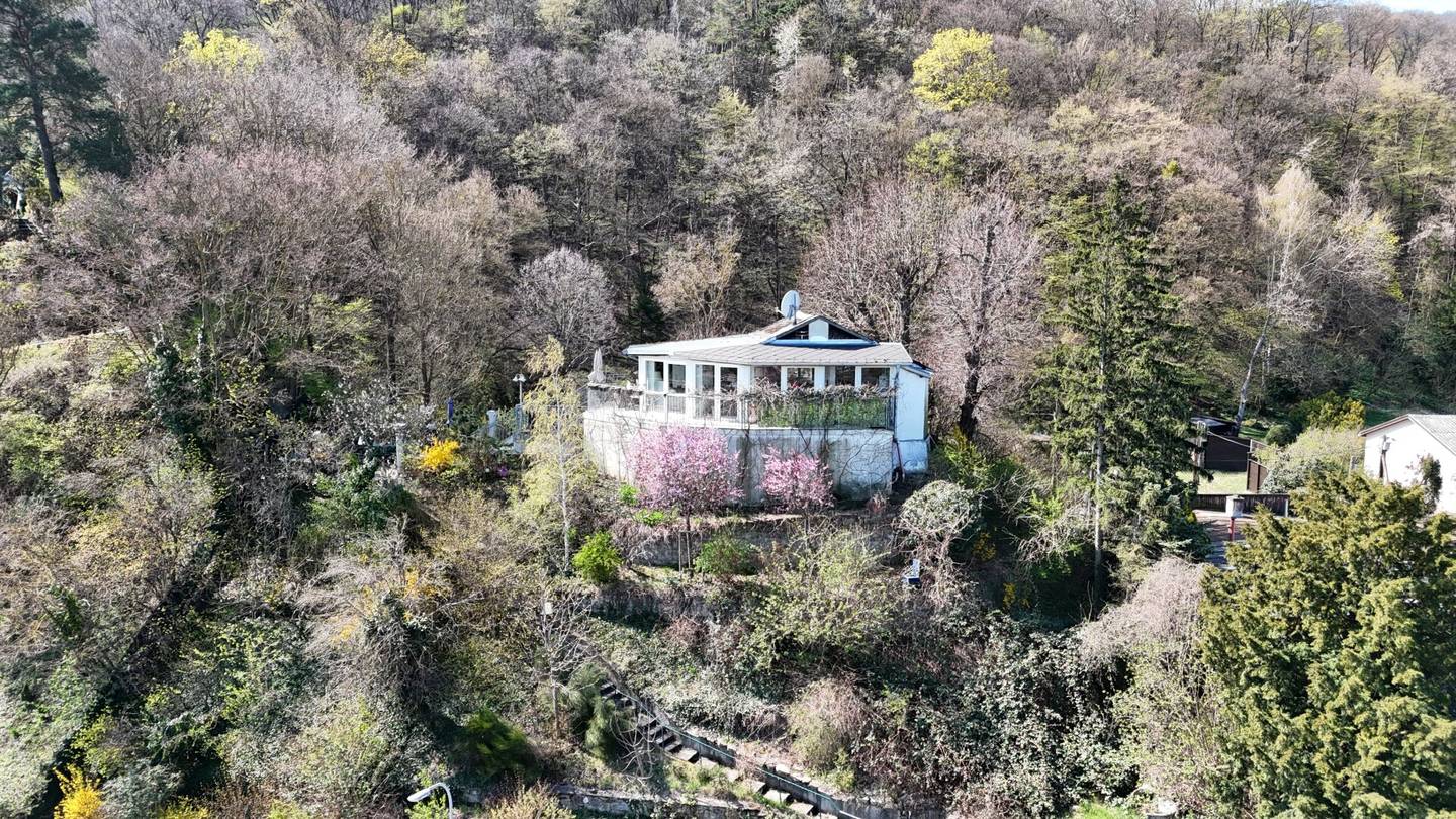 TOP PREIS: Lichtdurchflutetes Refugium mit traumhaftem Fernblick über Donau & Silbersee (Baurechtsgrund)